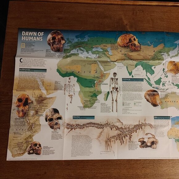 NATIONAL GEOGRAPHIC DAWN of HUMANS WALL POSTER Double Sided Full Colour Feb 97 - Picture 4 of 5